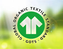 Graphic tee | Daddy's first mate